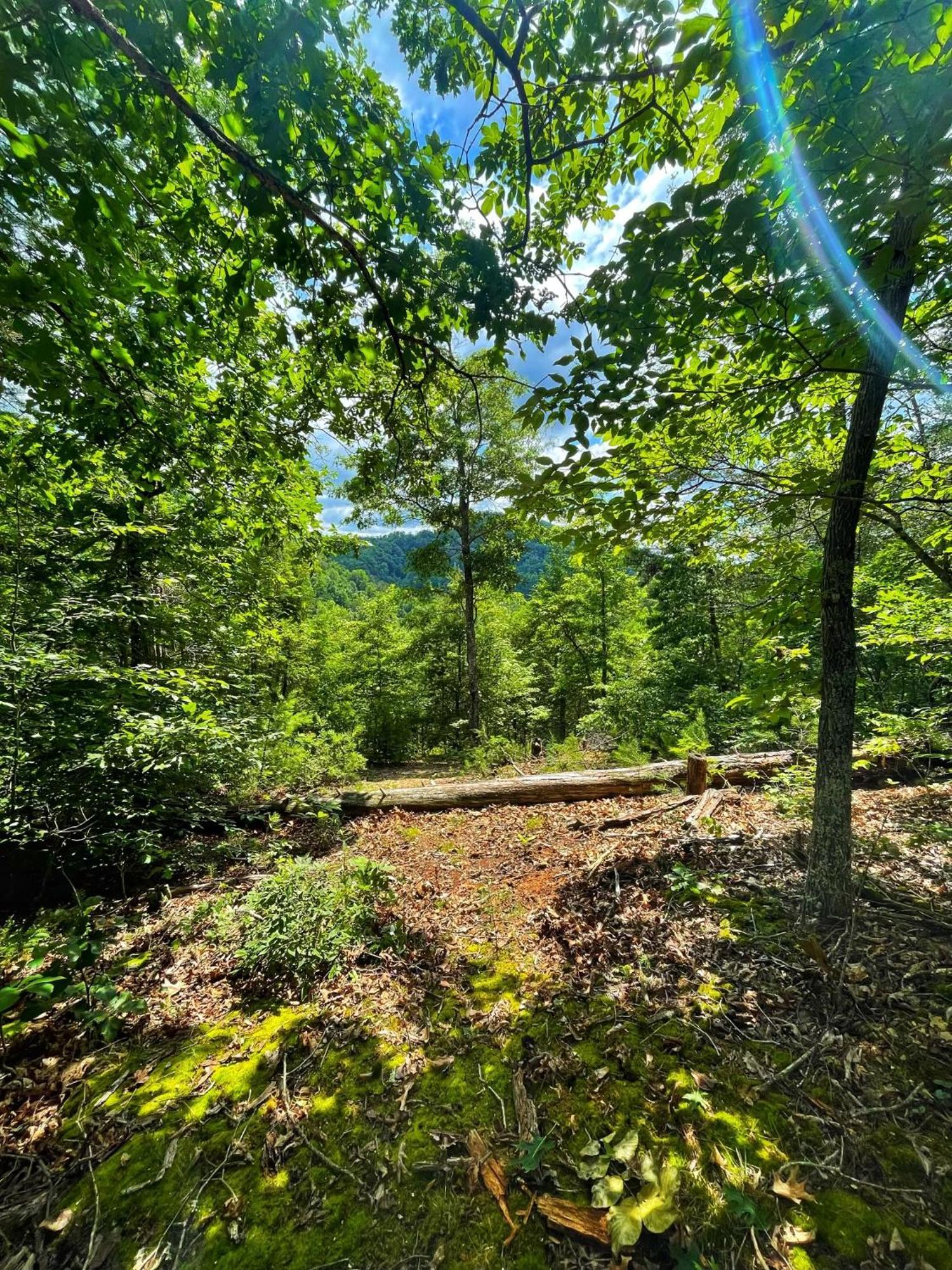 Вилла Tiny House, Wifi,Hot Tub,Secluded Cosby Экстерьер фото