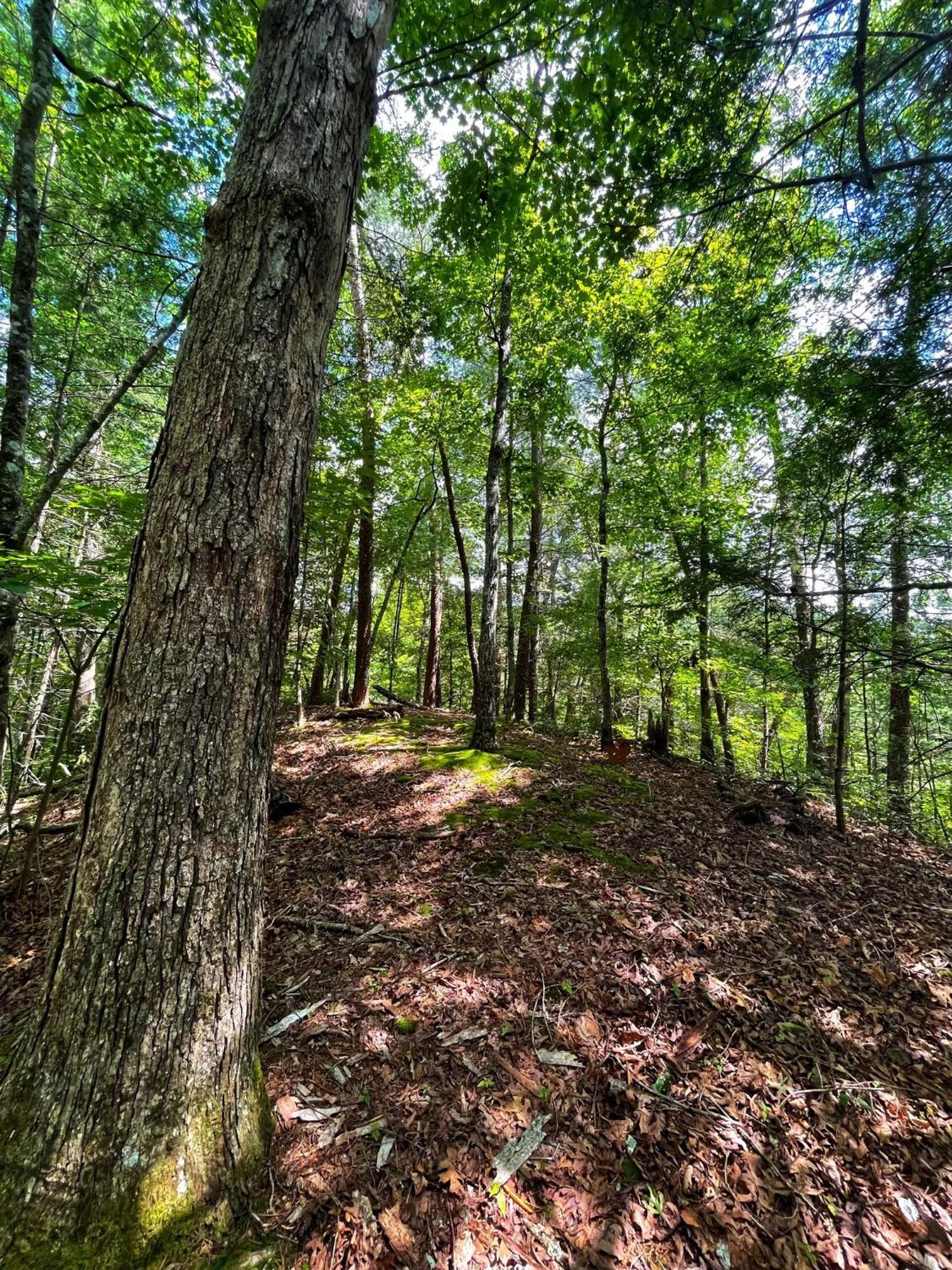 Вилла Tiny House, Wifi,Hot Tub,Secluded Cosby Экстерьер фото