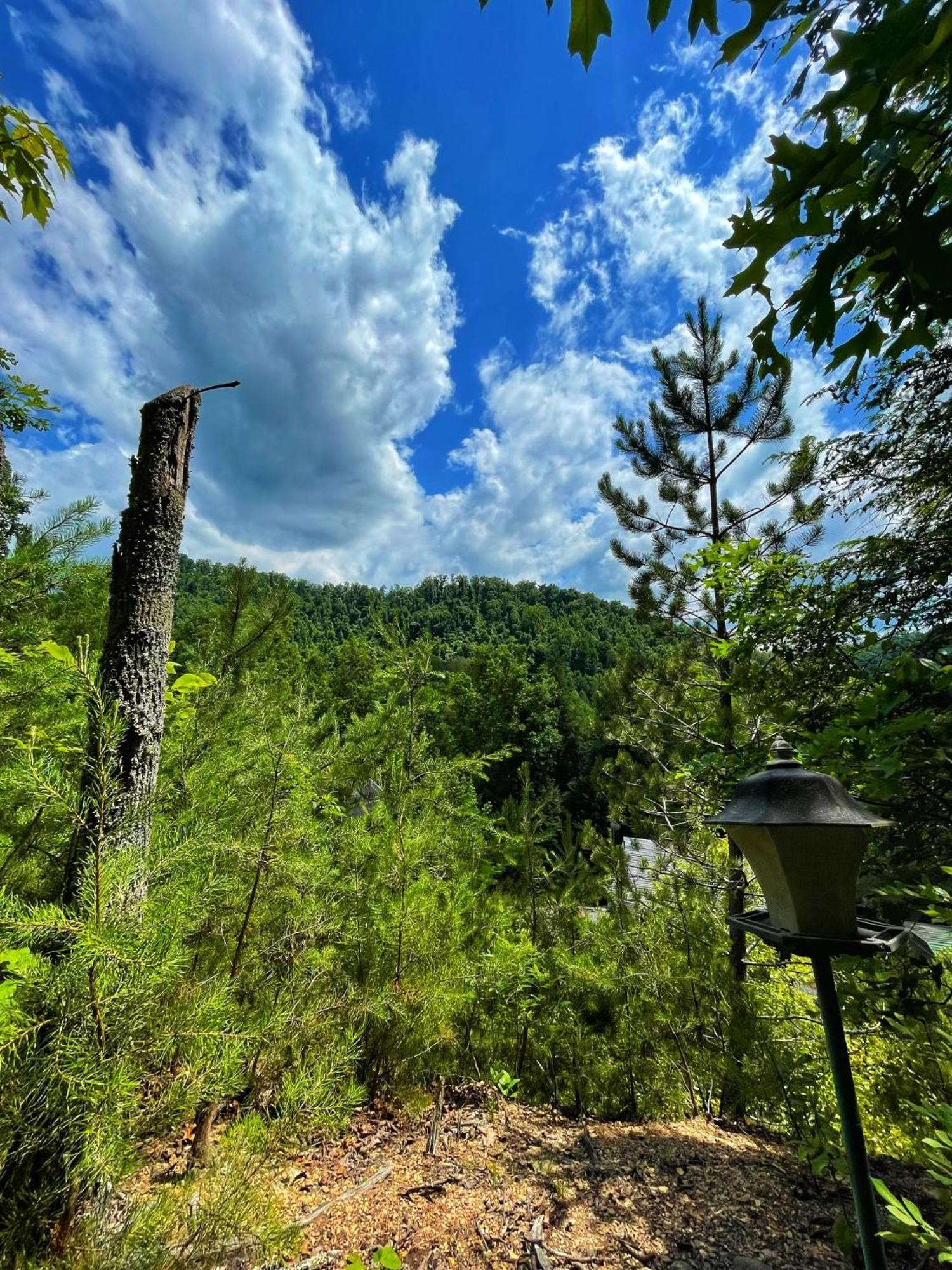 Вилла Tiny House, Wifi,Hot Tub,Secluded Cosby Экстерьер фото